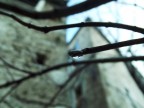 Foto scattata con Fujifilm FinePix s2980.
Accetto critiche consigli e quant'altro..