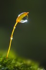 Il lampione della luce