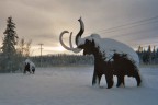 Yukon, Canada, White horse