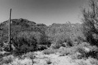 Around Tucson - 2004