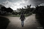 Paranoid Park