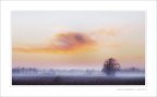 paesaggi invernali della valle padana