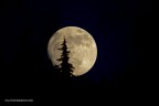 Paesaggi e eventi naturali.... italyphotoservice.com