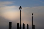 Sentinels
