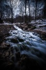 Il bosco delle streghe