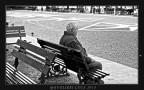 canon 50 d tamron 17-50 f5