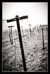 Strange Crosses
