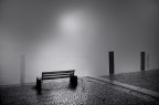 Will sit