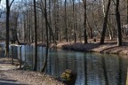 riflessi