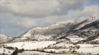 in bianco