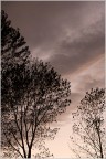 Un cielo...un tormento.