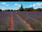 Provenza # 30