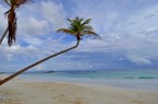 Caraibi