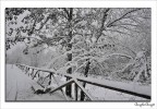 neve