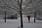 neve2