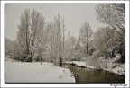 neve 3