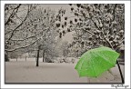 neve 4