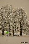 neve 5