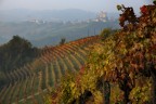 La fortuna di essere riuscito a fotografare un pezzo di langhe nell'unica settimana autunnale che offre tali colori.