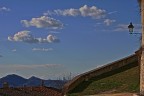 basta un bel cielo blu e un po' di erbetta verde e, anche se fa un freddo cane, si sogna subito la bella stagione.
No?