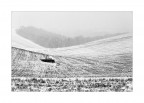Campagne lucane...