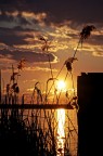 tramonto