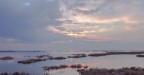 le saline