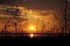 tramonto