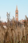 La Torre dal canneto