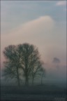 Silenzio.....