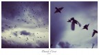 Andar via ...