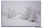 neve 7