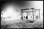 Nebbia nel parco