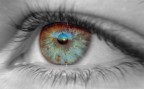 Tutto vero, la postproduzione ha interessato solo il viraggio e lo zoom
