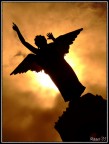 An Angel in Tallinn