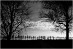 Campagna in inverno