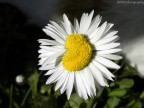 E' fantastico come una cosa cos piccola puo' illuminarti la giornata!