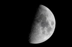 Canon 50D + Canon 100-400 L IS USM