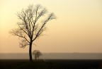 delta del Po tramonto