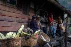 Minatori del monte Ijen