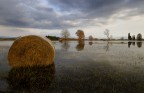 Campagne...