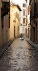 Solitudine del turista