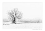 inverno