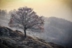 dipinto di luce