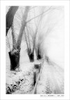 sentieri innevati