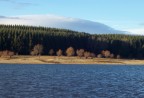 Sul lago