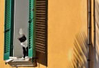 Gatto curioso.