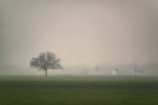 velate trasparenze padane