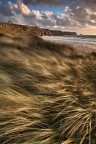 scatto dal tour in Bretagna,pi precisamente nella spiaggia del Crozon!
un saluto!