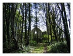 Chiesa nel Bosco - Irlanda (Cork)